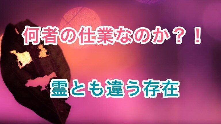エジプトの10の疫病: それは何であり、なぜ起こったのか