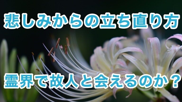 太陽系を通過した最初の星間物体は宇宙人の探査機でしょうか?