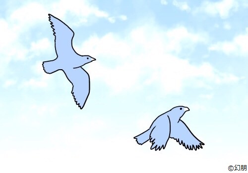 炭酸水はソーダよりも良いですか?長所と短所を学ぶ