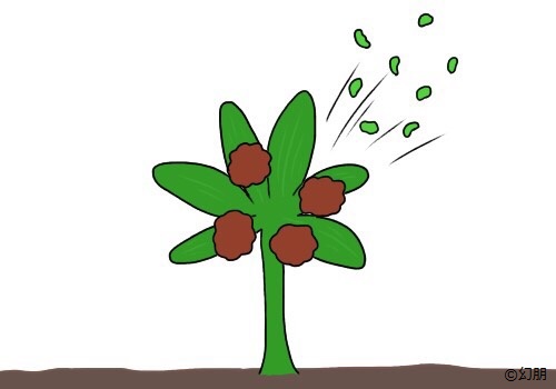 恐竜とともに絶滅したはずの小さな植物が生きている