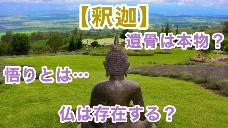 シナコロジーとは何か、その例 - シナコロジーとは何か