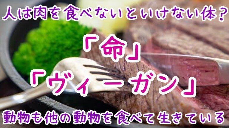 水蒸気が存在し、おそらくは雨も存在する場所を系外惑星が発見