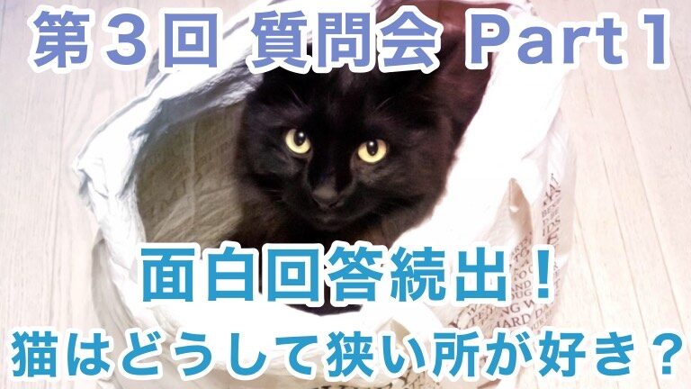 海水はなぜ色が変わるのか - 海水中の白色光と色変化