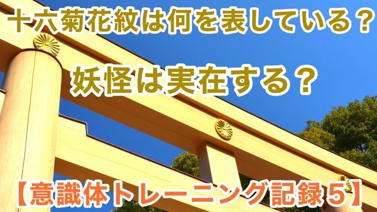野菜とは何か、種類と例のリスト