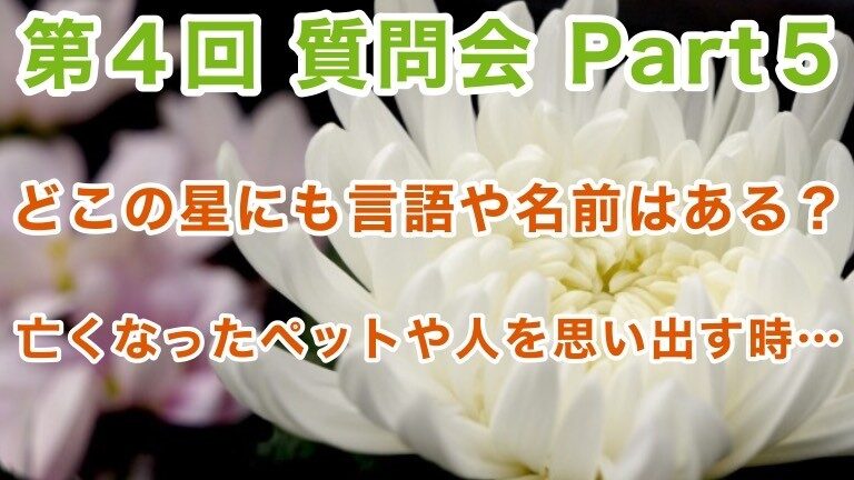 WHO、ワクチン接種者に新型コロナウイルス感染症第4波について警告