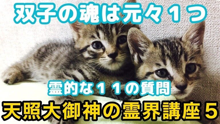 天照大御神の霊界講座 その５ 双子の魂の仕組み 地球に転生する確率 赤い空